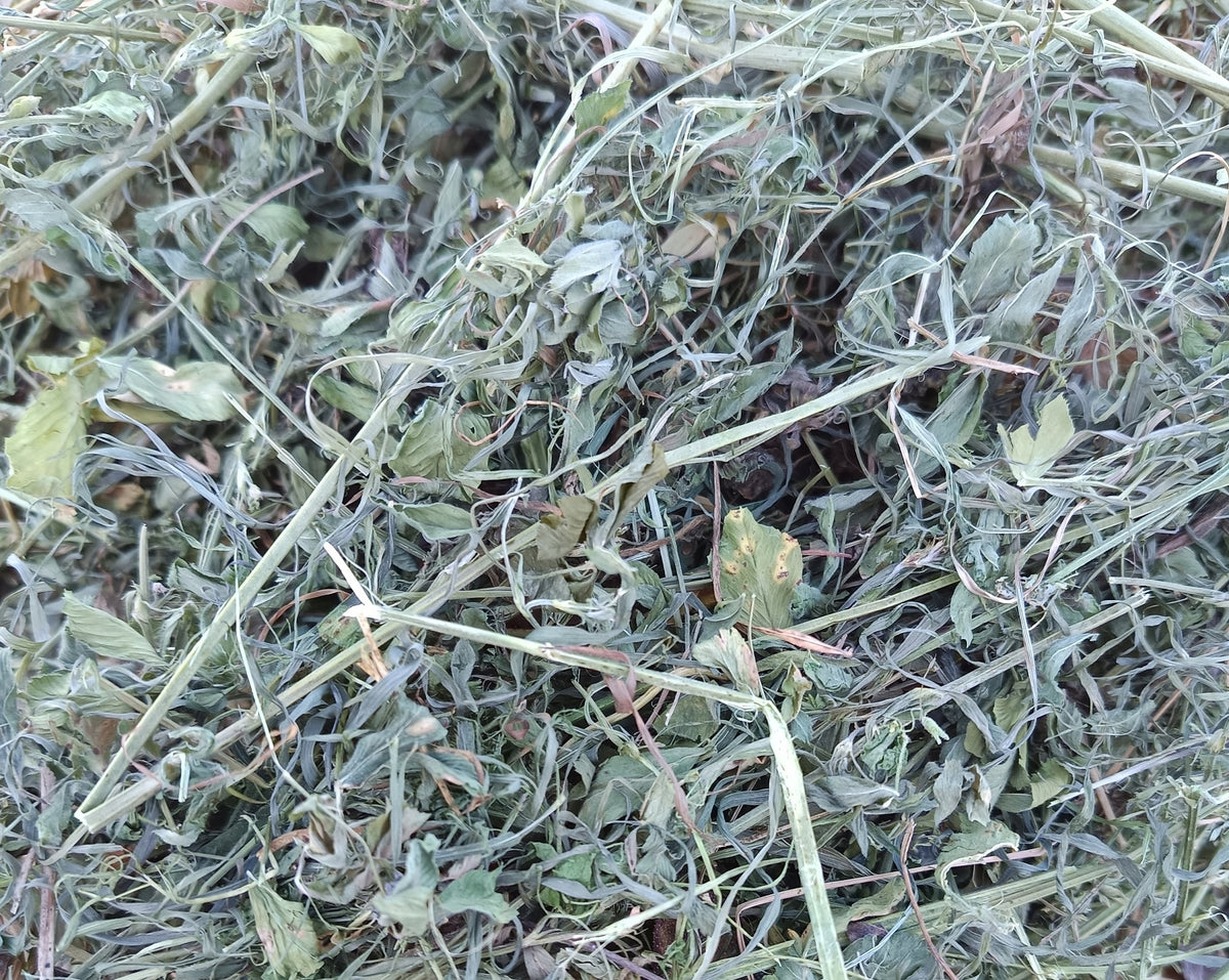 Dried Lucerne Pretty Green Inch Lucerne Herb For Rabbits Rodents 500g Packaging status original