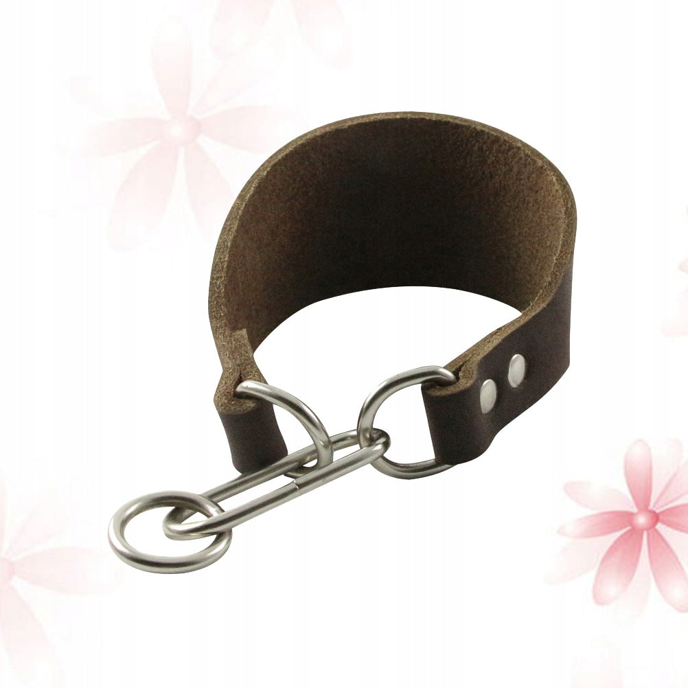 Durable Coffee Cattlehide Leather Pet Collar for Thin Neck Dogs
