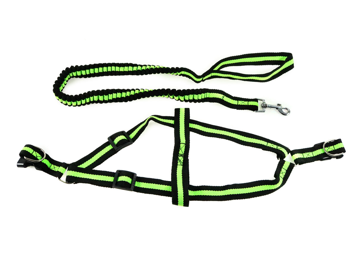 ELASTIC LEASH WITH SUSPENDERS WIDTH 2,5 - 302951