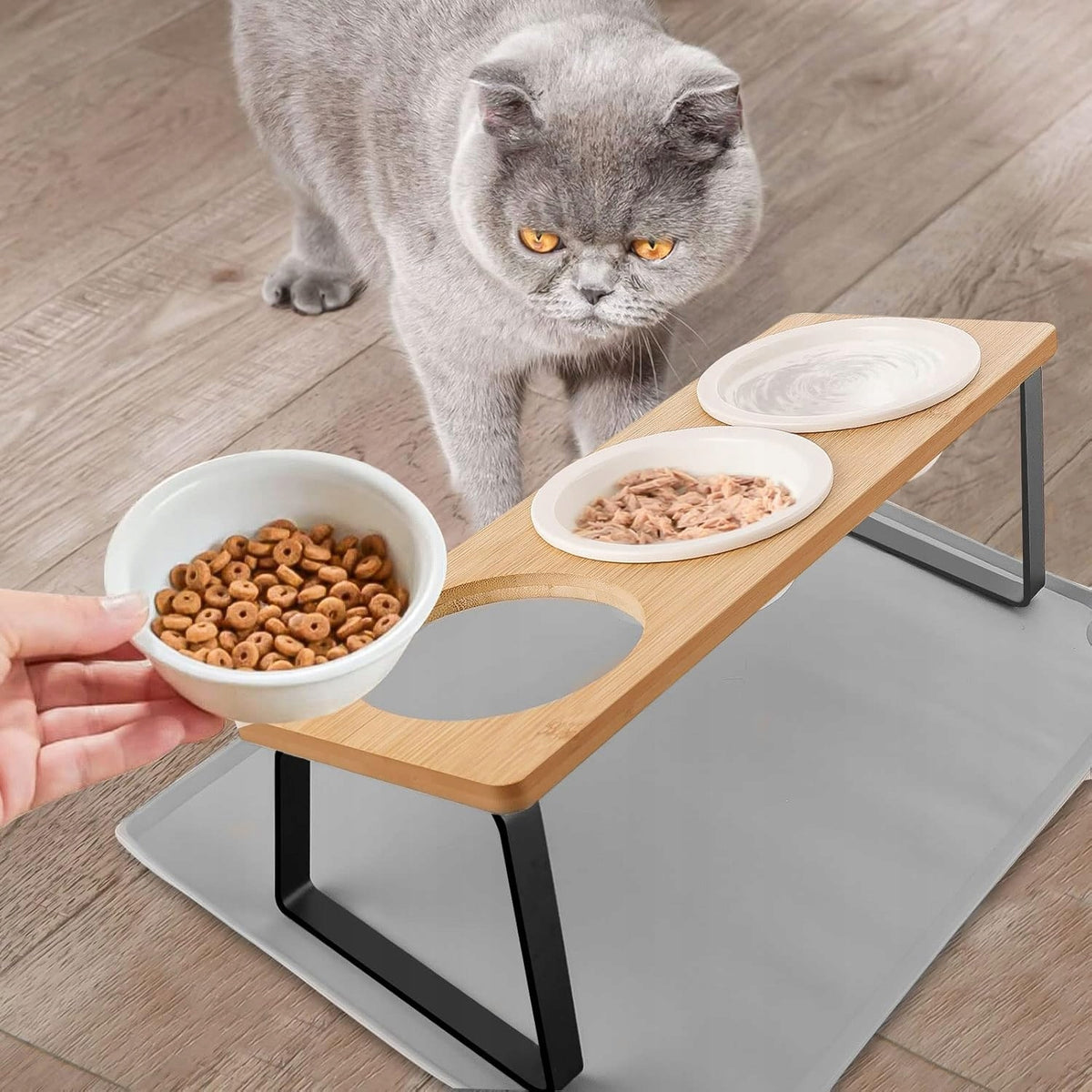 ELEVATED CAT BOWL, 3-PIECE FOOD BOWL SET, FOR CATS Packaging status original