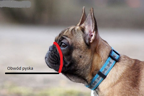 ENGLISH BULLDOG MUZZLE TO SIZE! Manufacturer code 099