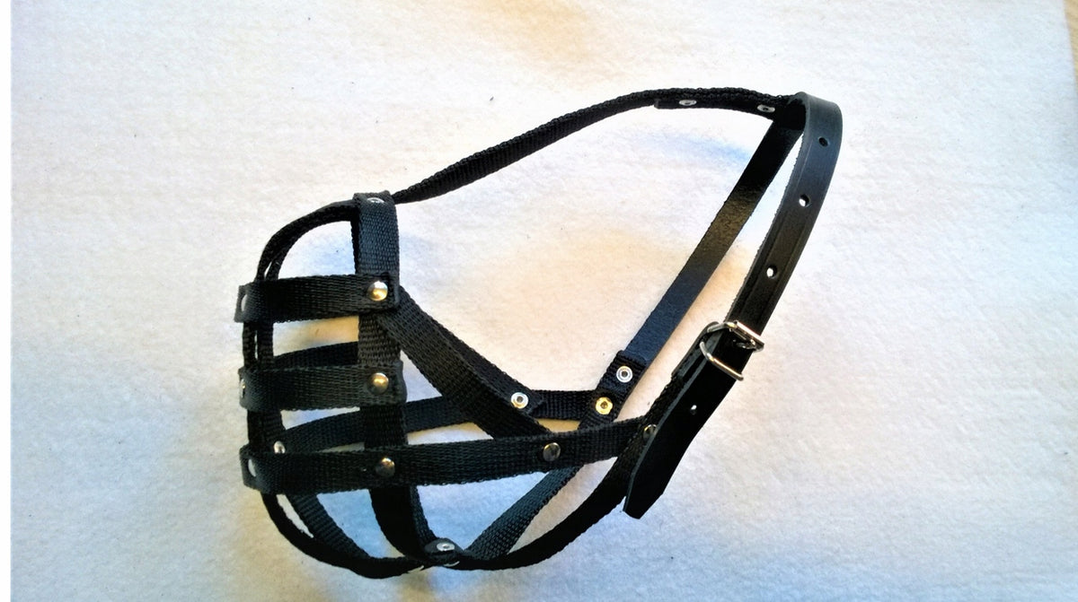 ENGLISH BULLDOG MUZZLE TO SIZE!