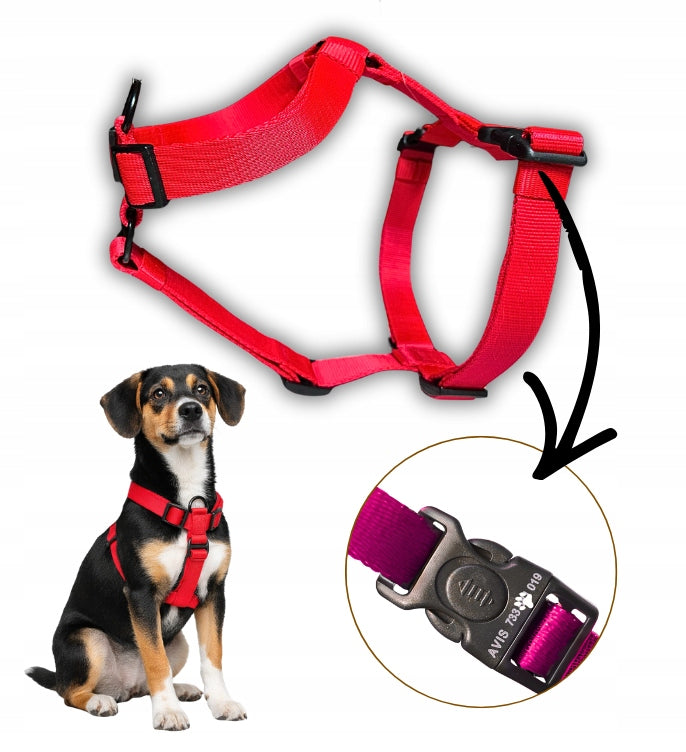 Easy Walk Harness – anti-pull, training, medium dog M/L - DRAPULA