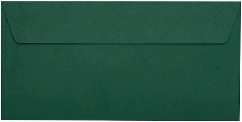 Envelope without window DL (110 x 220 mm) green