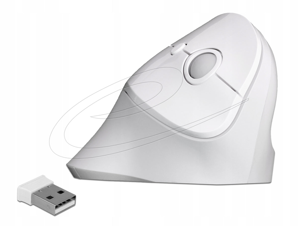 Ergonomic USB Wireless Vertical Mouse Delock 12596