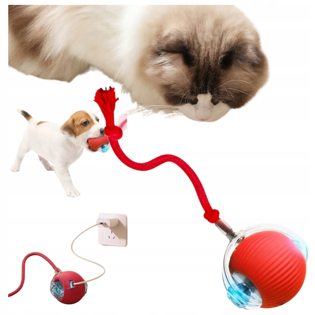 Escape Led Ball For Cat Dog Interactive USB Training Toy