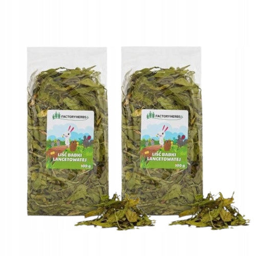 FACTORYHERBS set Plantain leaf 100g x 2