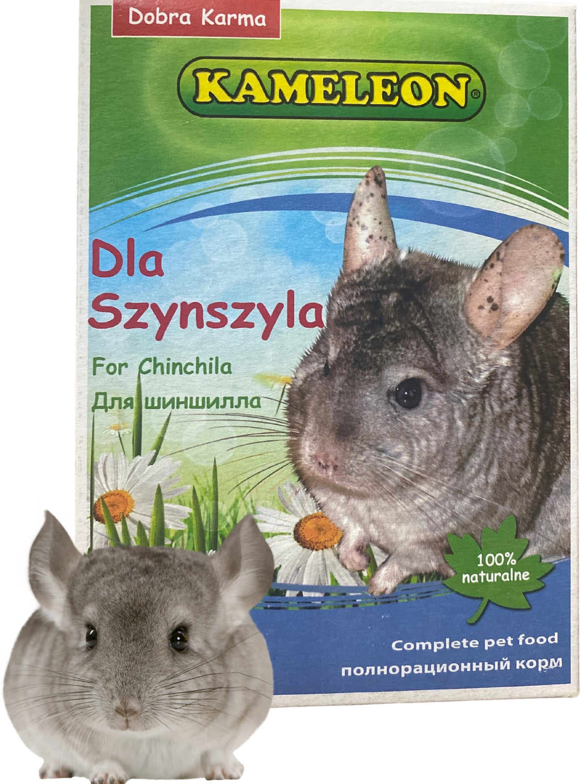 FOOD FOR CHINCHILLA RODENT food mixture KAMELEON Polish CHINCHILLA