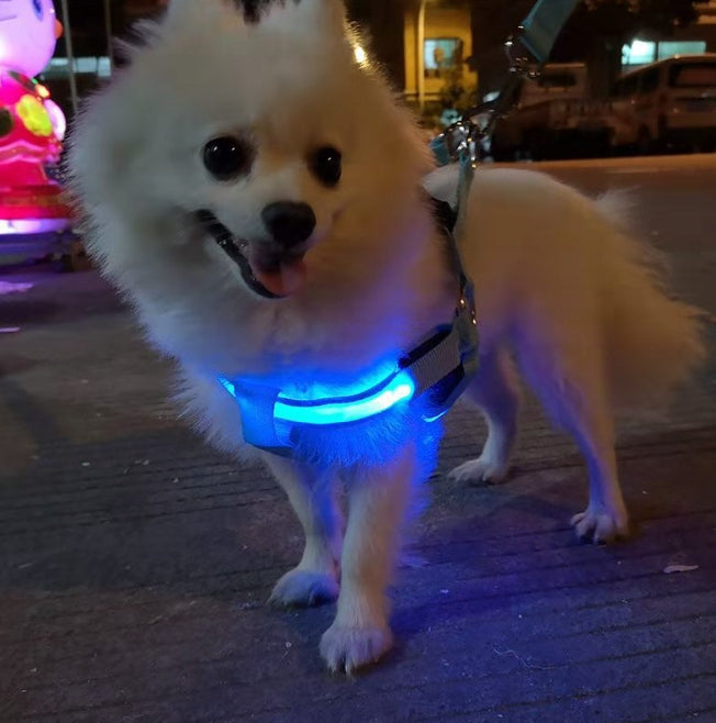 GLOWING HARNESS FOR DOG WHITE L 43-60x2,5cm Manufacturer code 401277