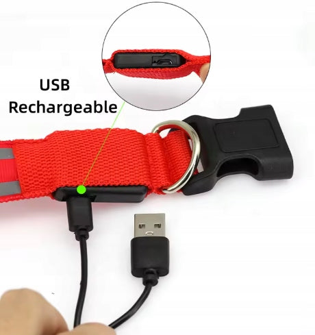 GLOWING LED CAT DOG COLLAR USB REFLECTIVE - SIZE XS Packaging status original