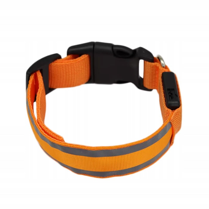 GLOWING LED CAT DOG COLLAR USB REFLECTIVE - SIZE XS