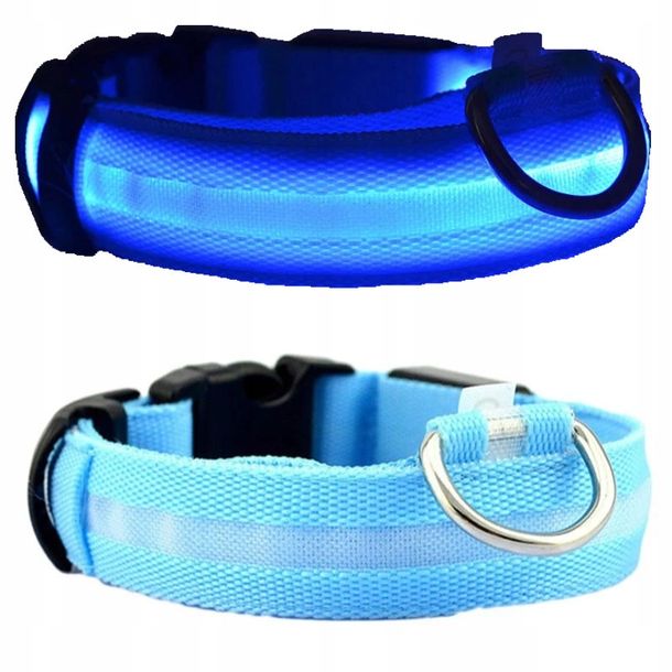 Glowing Battery Operated LED Dog-Cat Collar L- BLUE GLOWING