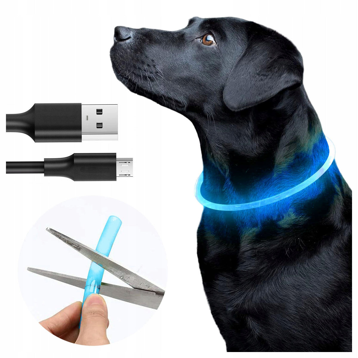 Glowing Collar Led Usb For Cat Dog Adjustable Blue
