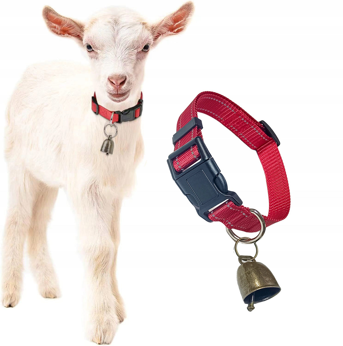 Goat Collar with Bell Dog Collar Metal Bell Quick Release