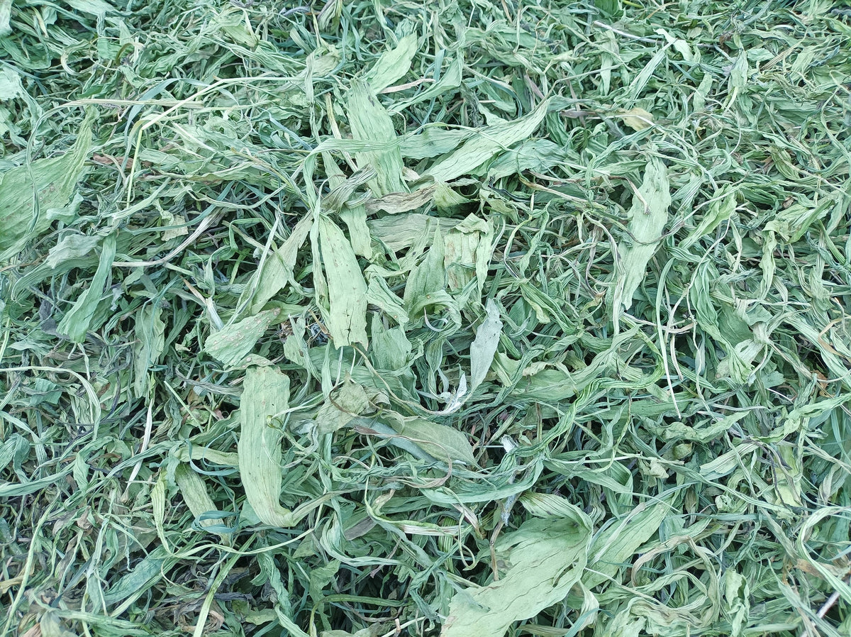 Grandmother Lancet Beautiful Green Dried Leaf For Rabbits Rodents 1kg