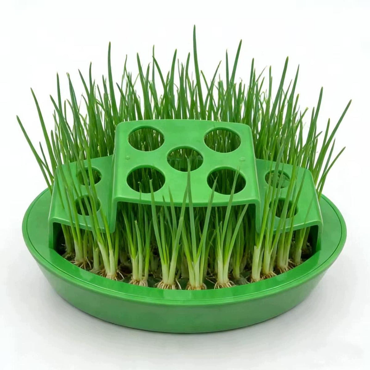 Green Onion Regrower Hydroponic Growing Easy to Use Planting Container Seed Packaging status original