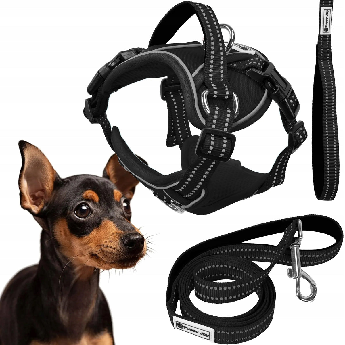 HARNESS AND DOG LEASH REFLECTIVE PRESSURE-FREE ADJUSTABLE BLACK S