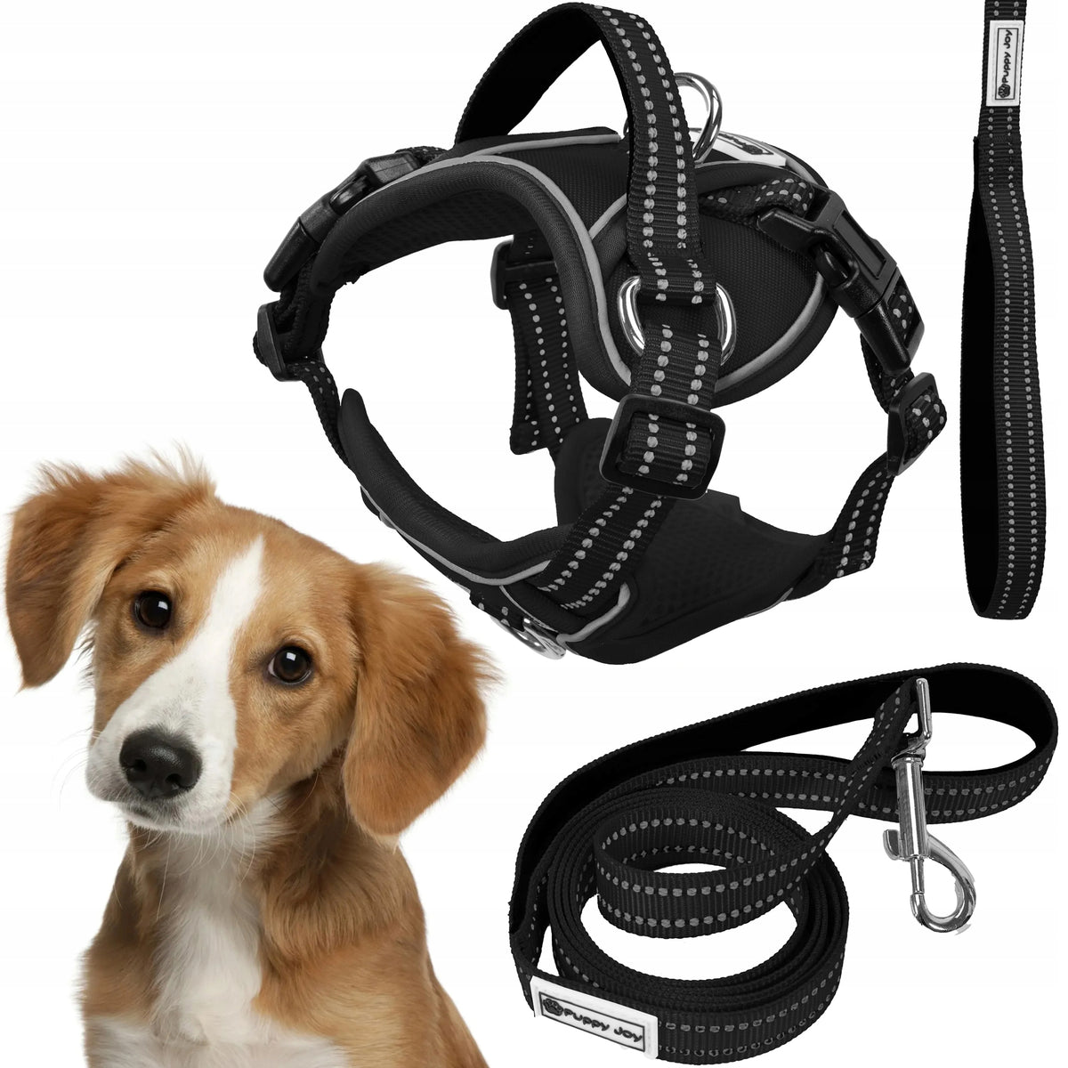 HARNESS AND LEASH FOR DOG REFLECTIVE PRESSURE-FREE ADJUSTABLE BLACK M