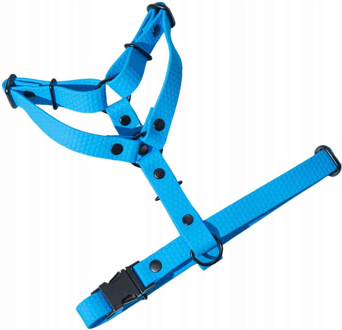 HARNESS GUARD FOR DOG HEXA WATERPROOF BLUE tape 1,5cm or 2cm Roz XS