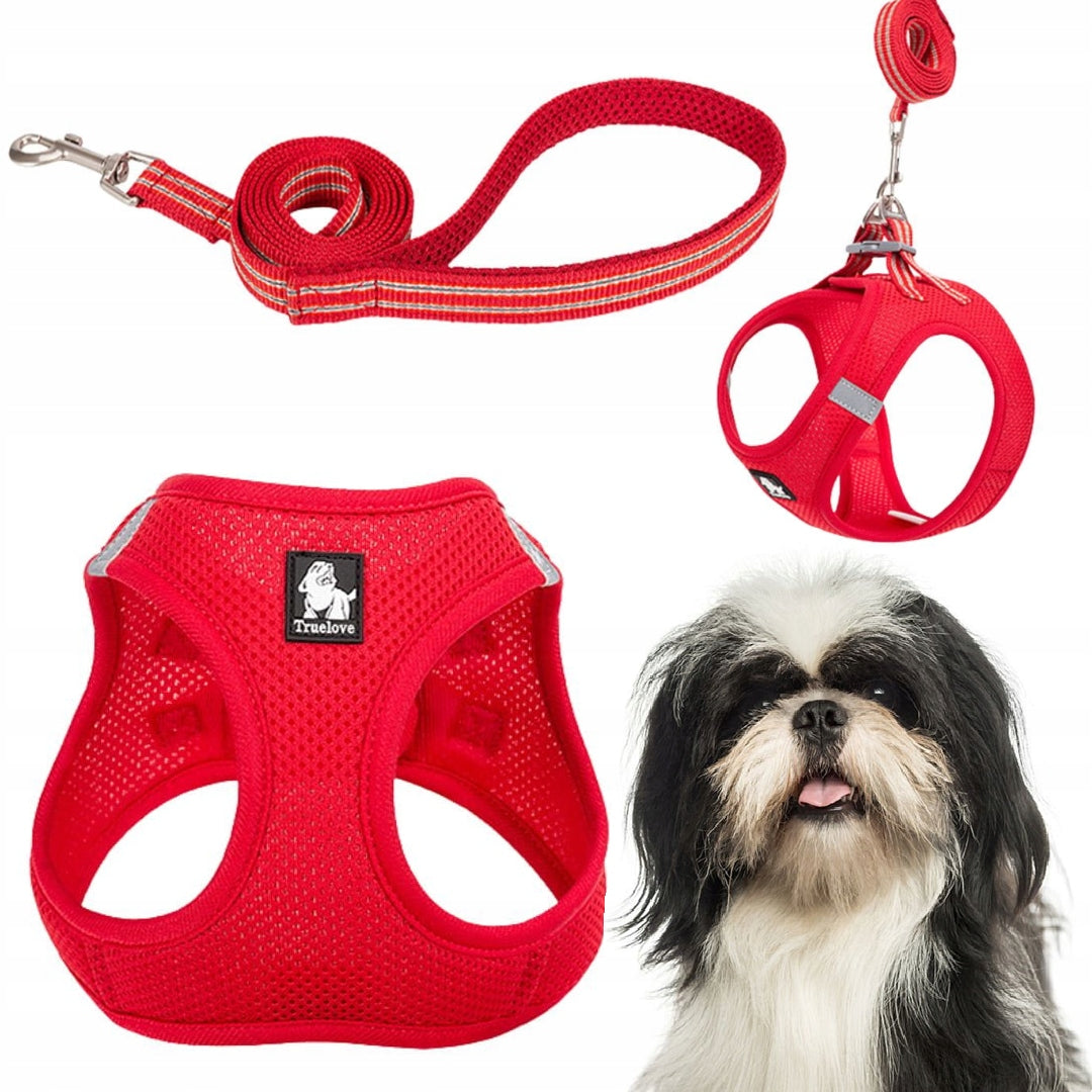 HARNESS + LEASH FOR SMALL CAT DOG LIGHT TRUELOVE MINI RED S SET