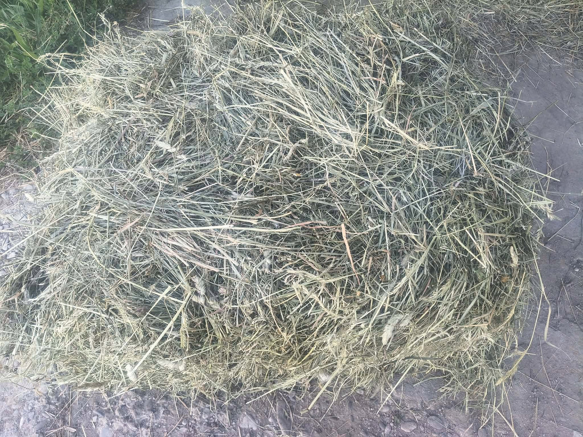HAY 5 kg GREEN FOOD FOR RABBITS AND RODENTS PACZKOMAT SMART