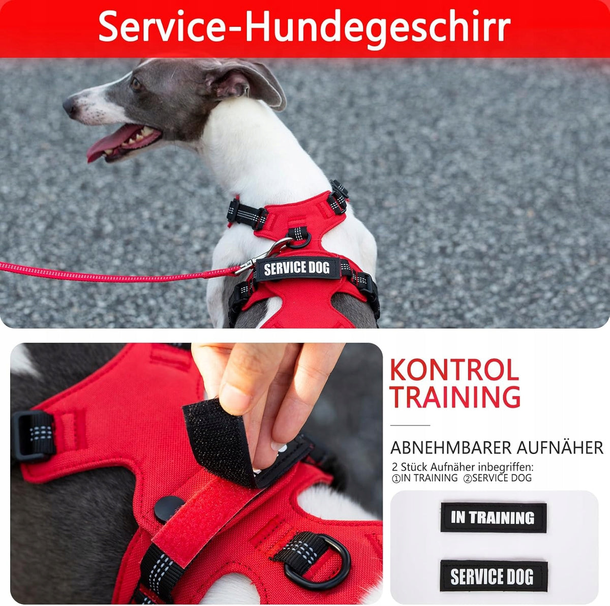 HUNTBOO Dog Harness Adjustable Reflecting Light Red L Manufacturer code WZ4Z