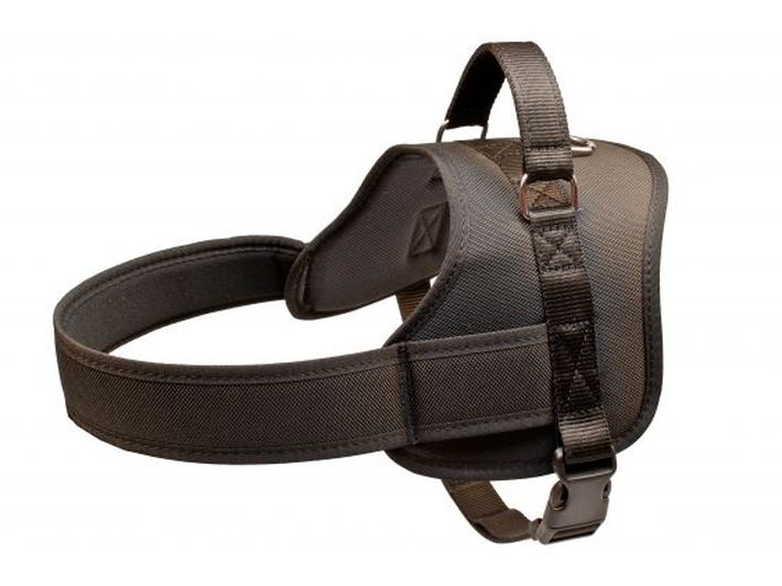 Harness ACTION 63-80cm for training, work and codzie