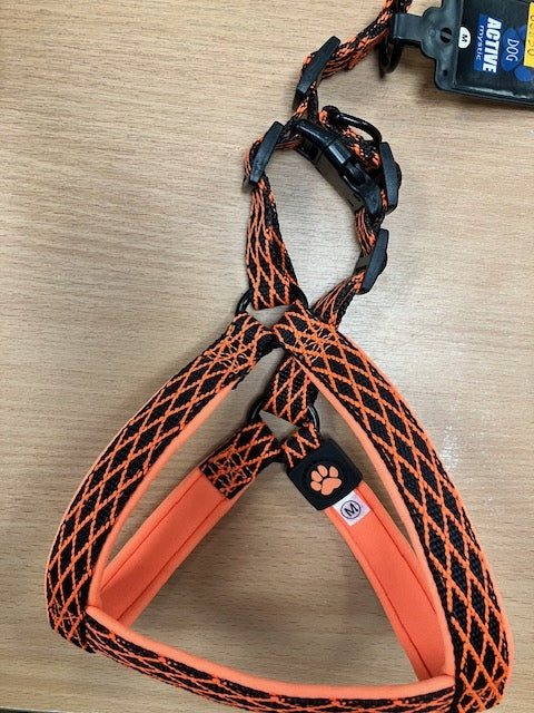 Harness ACTIVE DOG Mystic orange M