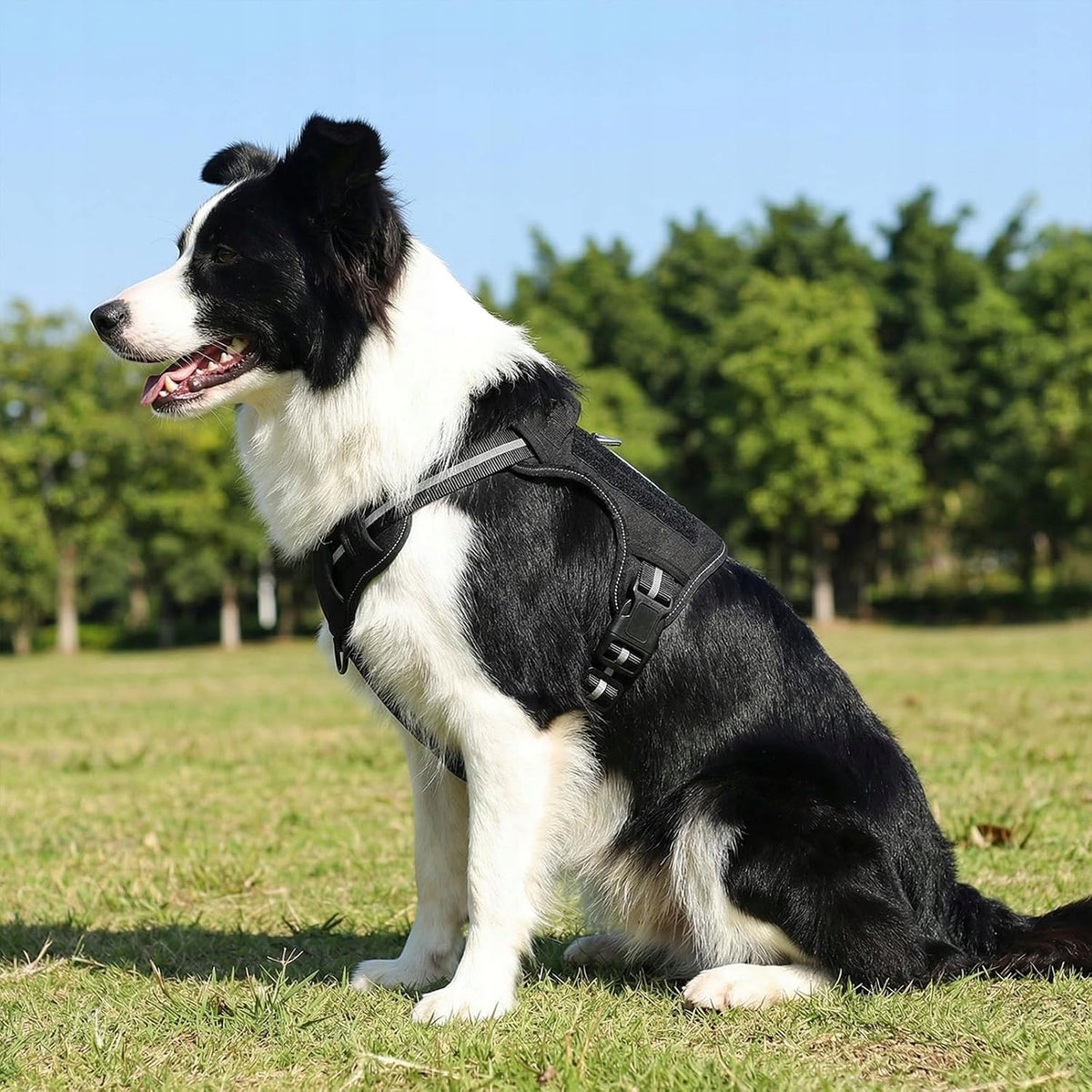 Harness FOR Big Dog AMAZON BASICS Black Size L