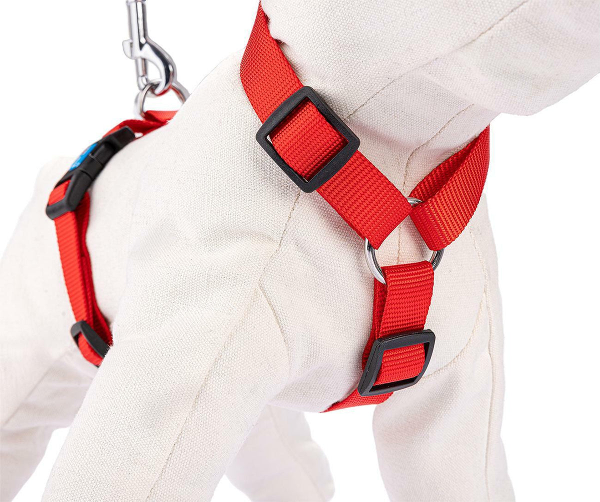 Harness adjustable tape XS red Packaging status original