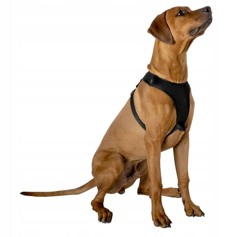 Harness dog harness 67,6 x 106,5 cm Roz L black