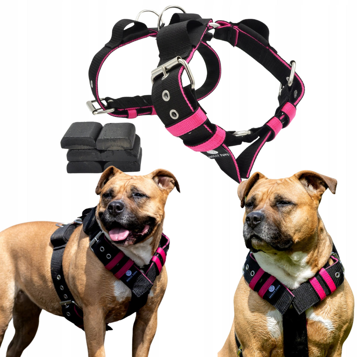 Harness with Weights for Every Dog All Sizes