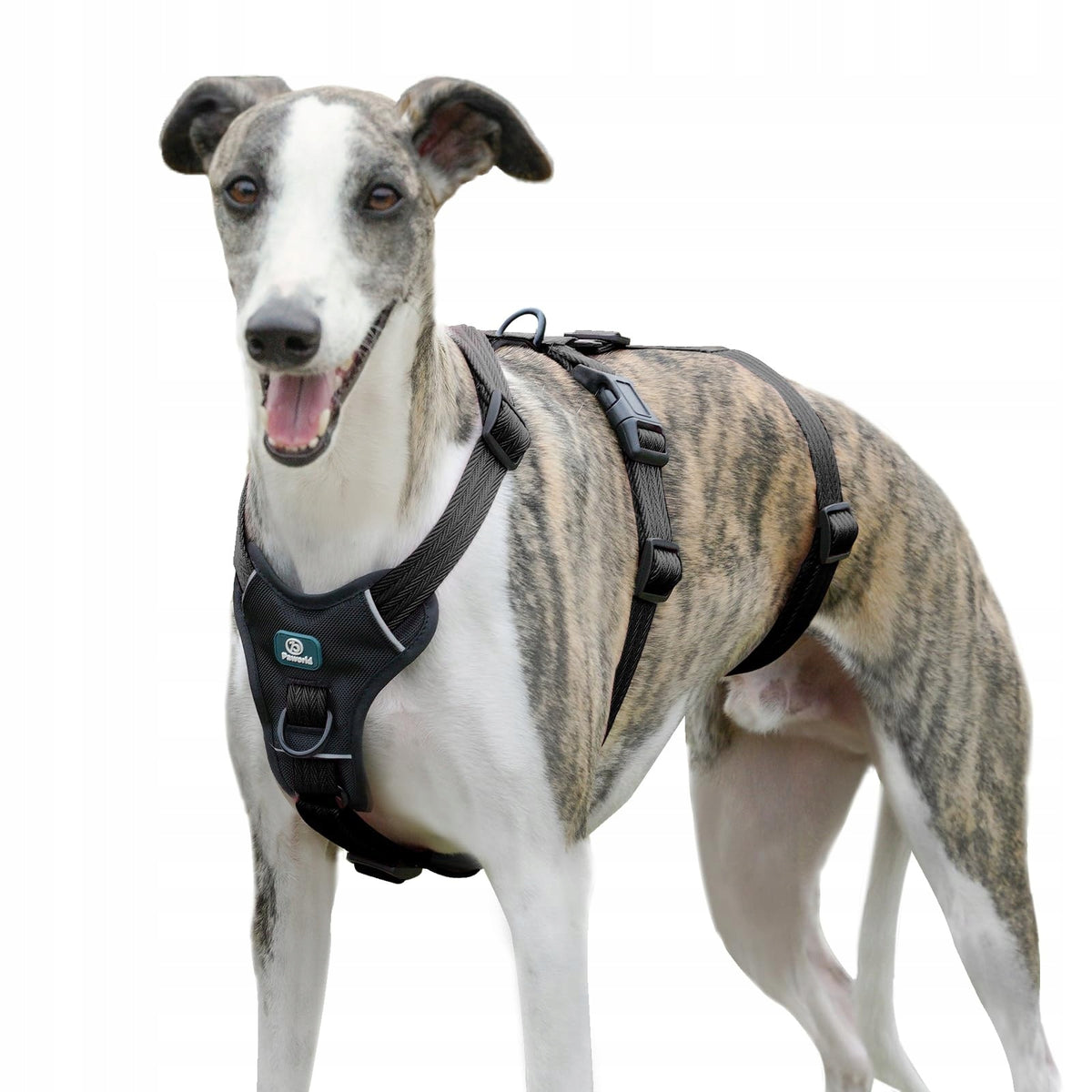 Harnesses for Dogs