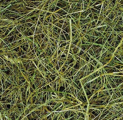 Hay Treats For Rodent 1,5 kg Manufacturer code 0110064