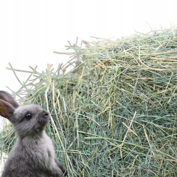 Hay Treats For Rodent 1,5 kg