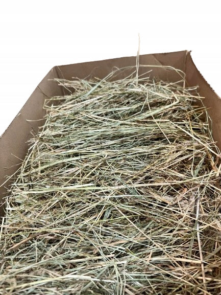 Hay feed 2kg for hamster rabbit mouse