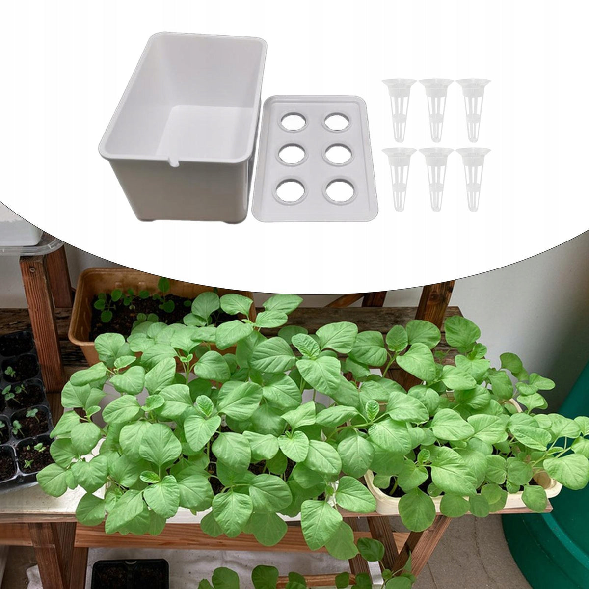 Hydroponics Growing System, Hydroponics Grower Wear Resistant White