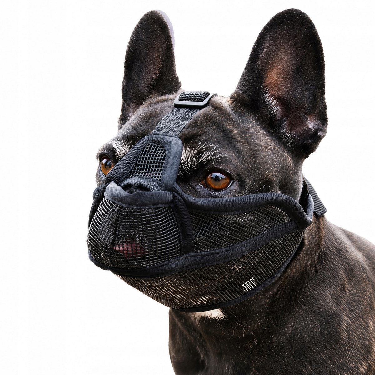 INF muzzle for dogs with short mouths