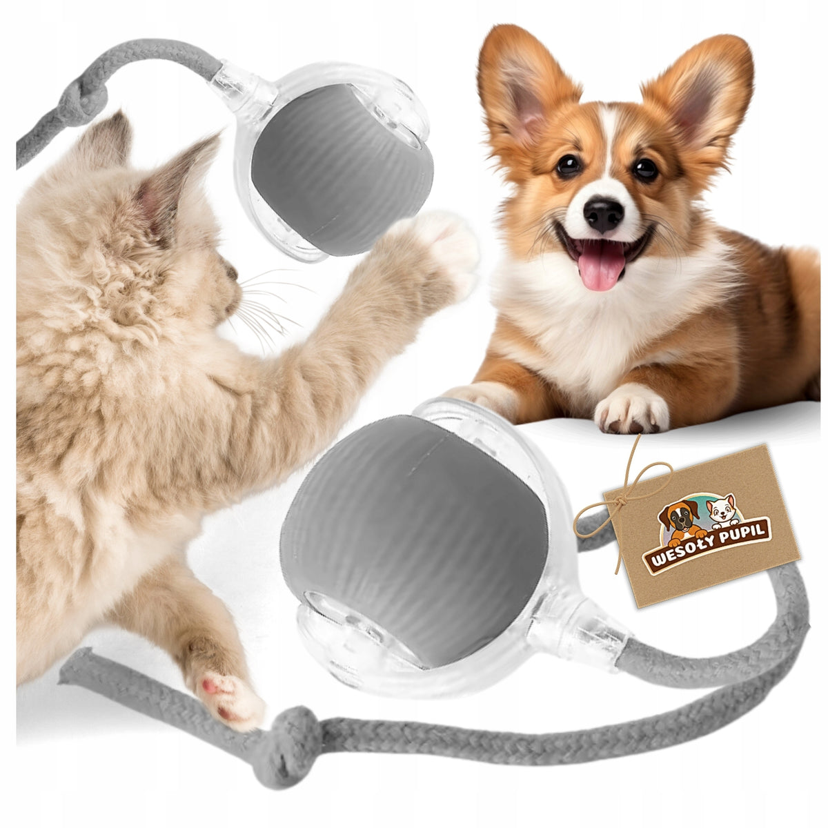 INTERACTIVE BALL for cat dog TOY USB vibration LED electric