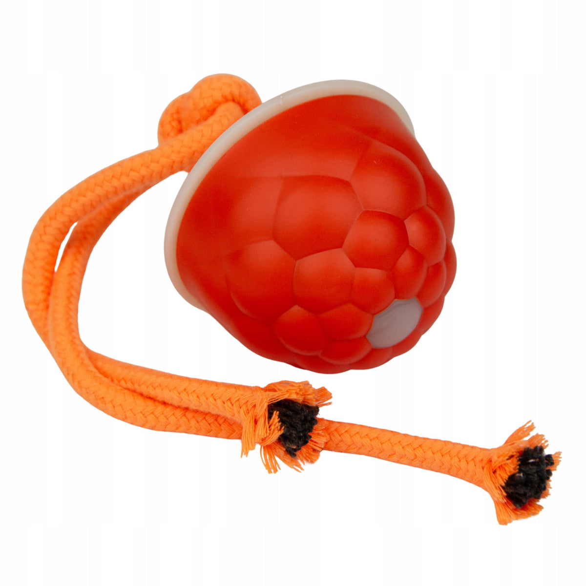 Interactive Glowing Moving Cat Toy with LED String Packaging status original