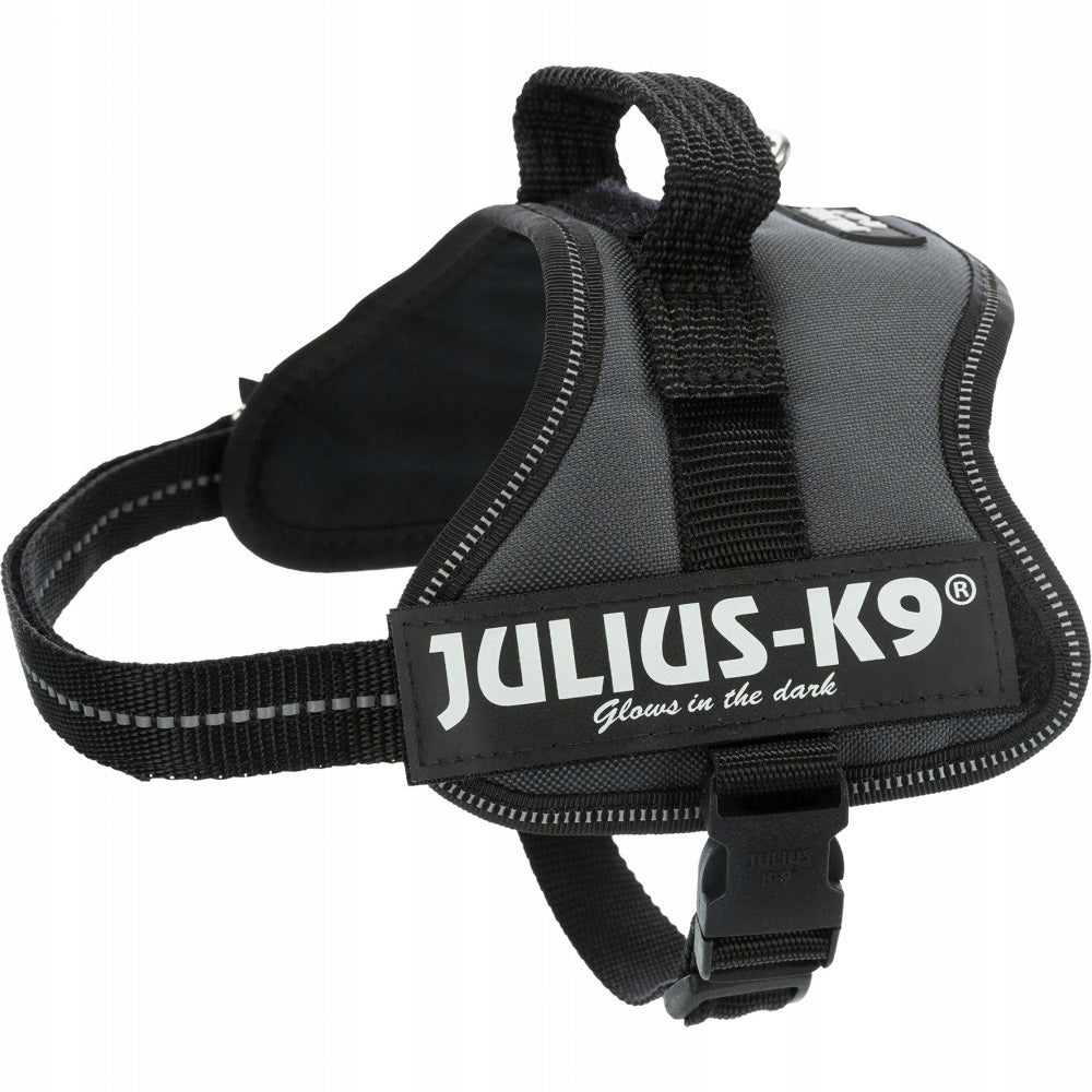 Julius- K9(R) Powerharness(R) harness, for dog, anthracite grey, Mini- Mini/ S: 53