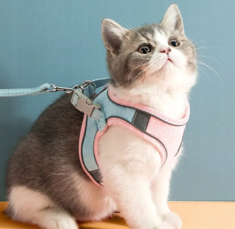 LANYARD & CAT HARNESS Pressure-Free Walking Reflective Adjustable M Packaging status original