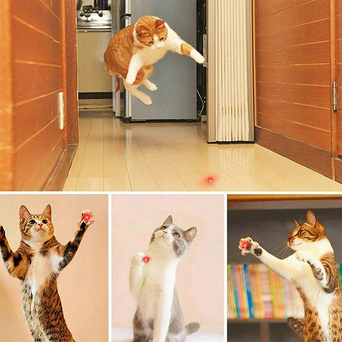 LASER POINTER CAT TOY Packaging status original