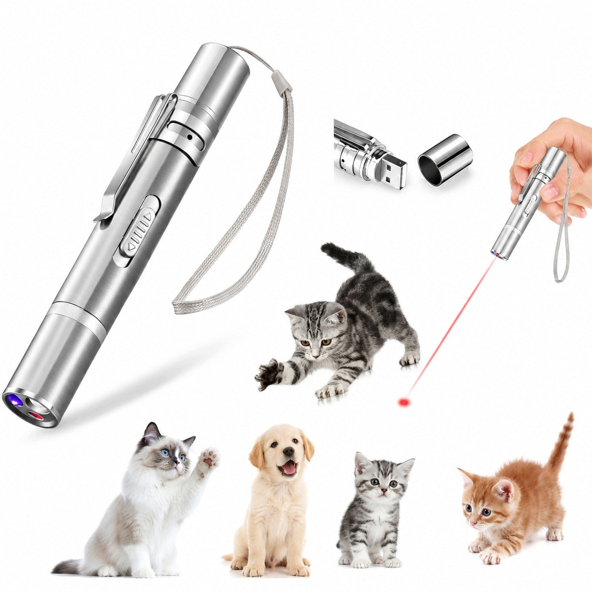 LASER POINTER FOR CAT INTERACTIVE TOY LED USB FLASHLIGHT