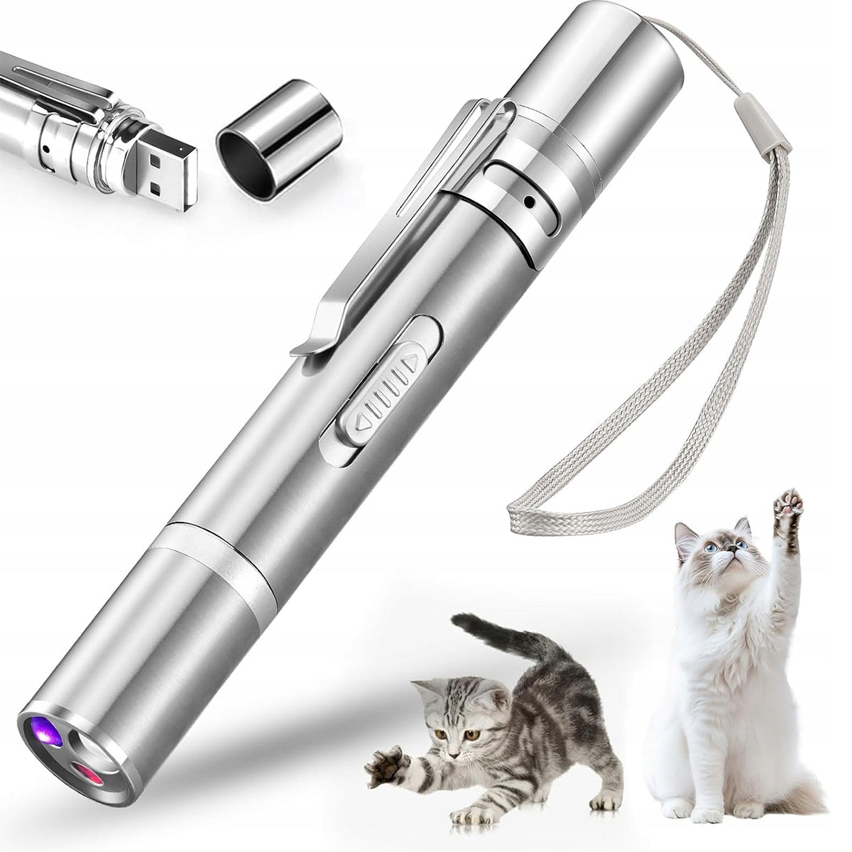 LASER POINTER USB STRONG LONG RANGE Packaging status original