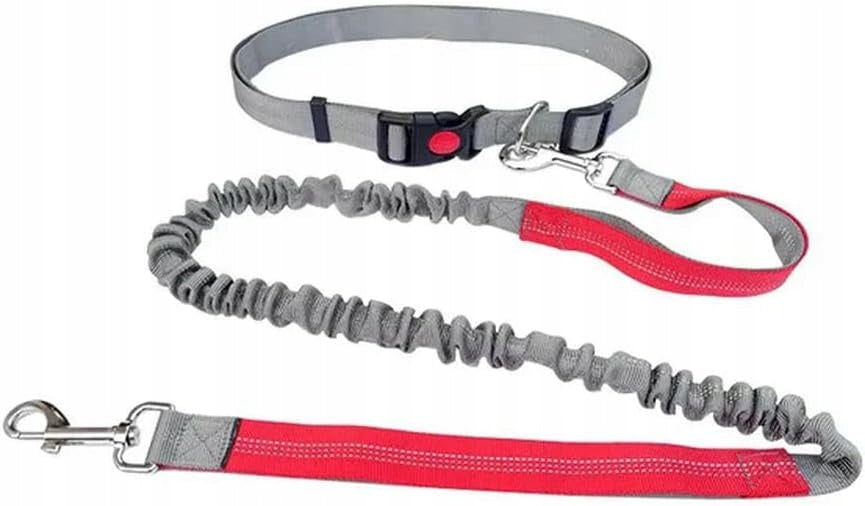 LEASH TRAINING HIP BELT FOR RUNNING WITH DOG ELASTIC STRONG 2,5M EAN (GTIN) 5904268981437