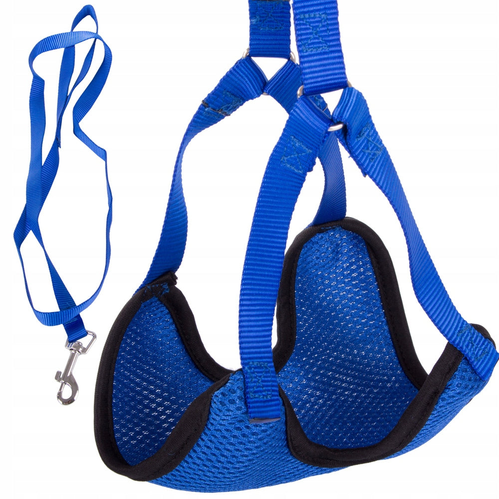 LEASH WITH SUSPENDERS PRESSURE-FREE HARNESS LIGHT FOR CAT DOG STRONG WITH CLASP