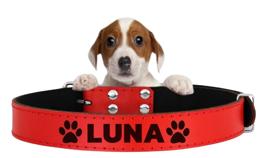 LEATHER COLLAR WITH ENGRAVING FOR CAT DOG ADDRESS BOOK SIZE L 33-43cm COLORS