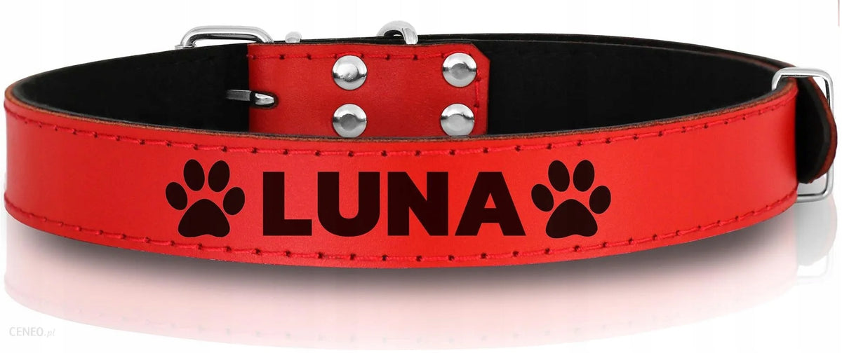 LEATHER COLLAR WITH ENGRAVING FOR CAT DOG ADDRESS BOOK SIZE S 24-30cm COLORS