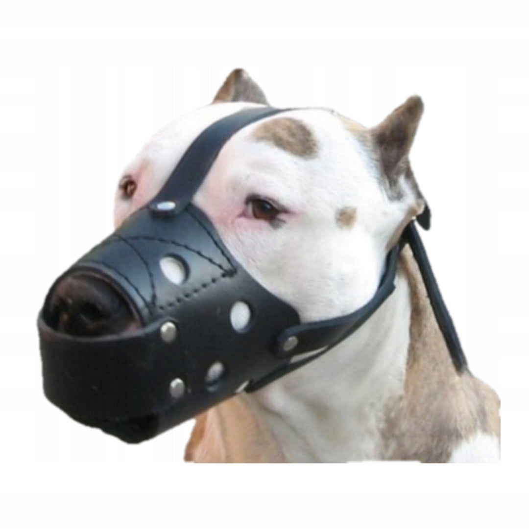 LEATHER MUZZLE AM-STAFF PIT-BULL TO SIZE!!!